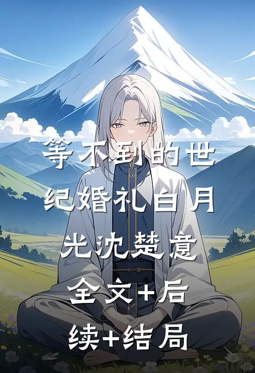 等不到的世纪婚礼白月光沈楚意全文+后续+结局