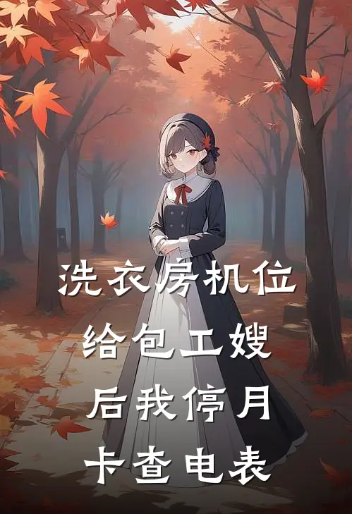 洗衣房机位给包工嫂后我停月卡查电表