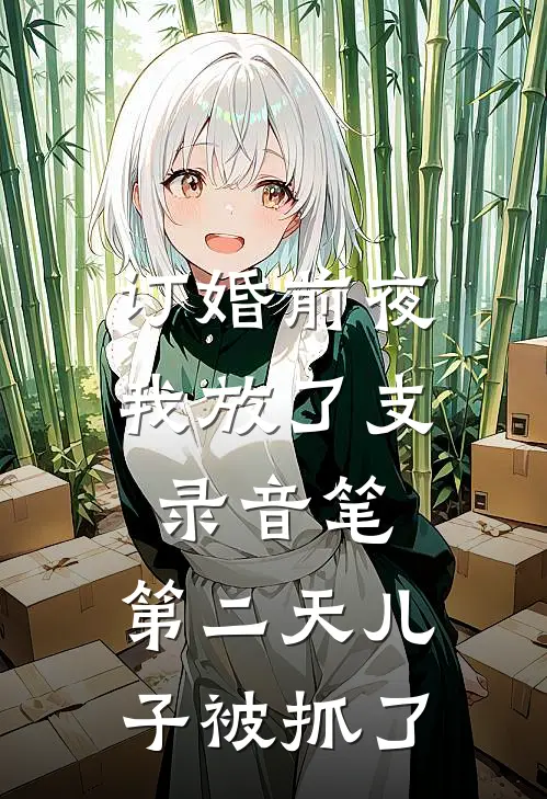 订婚前夜我放了支录音笔，第二天儿子被抓了