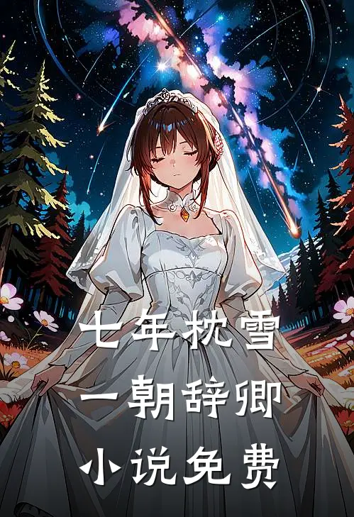 七年枕雪，一朝辞卿小说免费