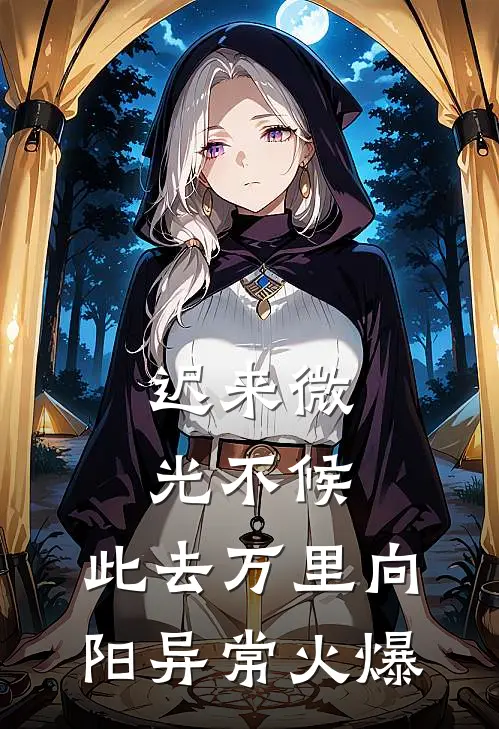 迟来微光不候，此去万里向阳异常火爆