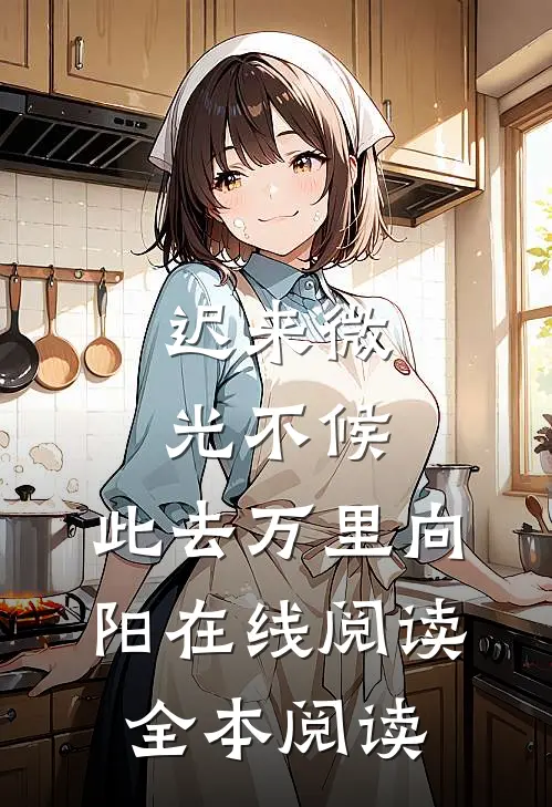 迟来微光不候，此去万里向阳在线阅读全本阅读