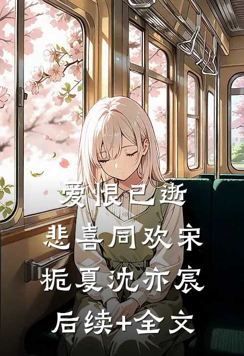 爱恨已逝，悲喜同欢宋栀夏沈亦宸后续+全文