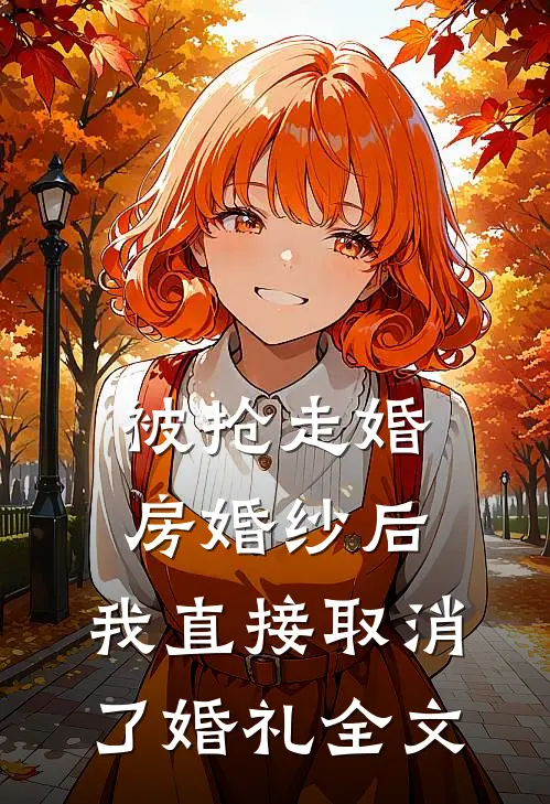 被抢走婚房婚纱后，我直接取消了婚礼全文