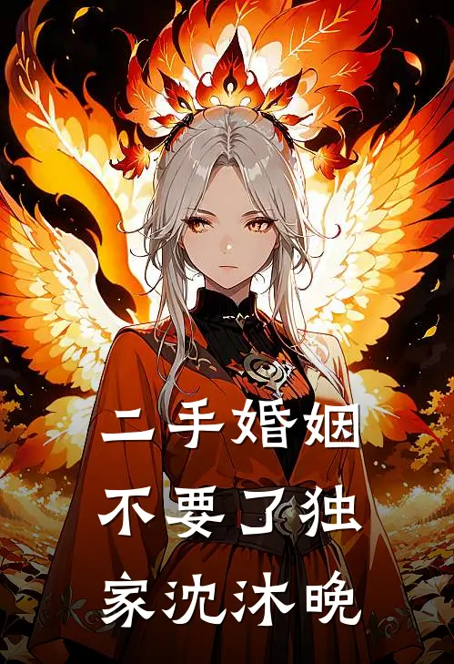 二手婚姻，不要了独家沈沐晚