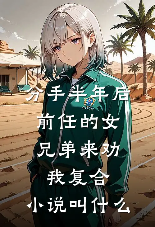 分手半年后,前任的女兄弟来劝我复合。小说叫什么