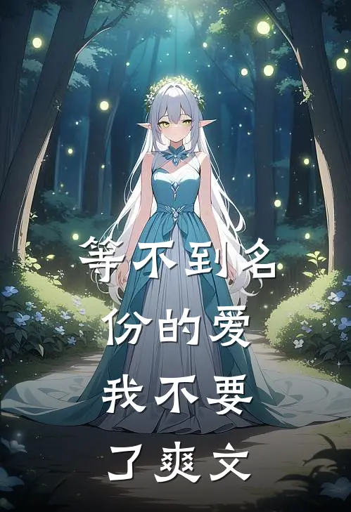 等不到名份的爱，我不要了爽文