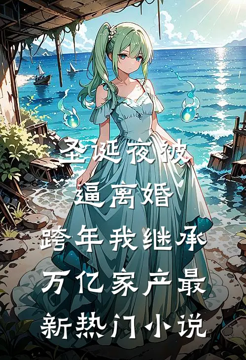 圣诞夜被逼离婚，跨年我继承万亿家产最新热门小说