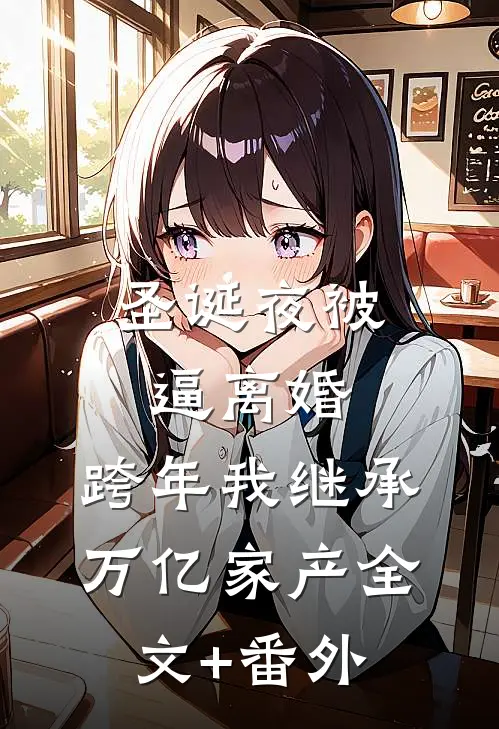 圣诞夜被逼离婚,跨年我继承万亿家产全文+番外
