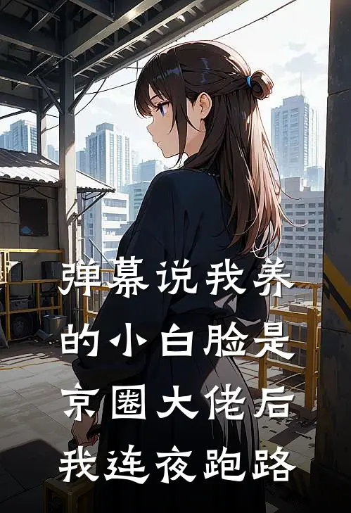 弹幕说我养的小白脸是京圈大佬后,我连夜跑路