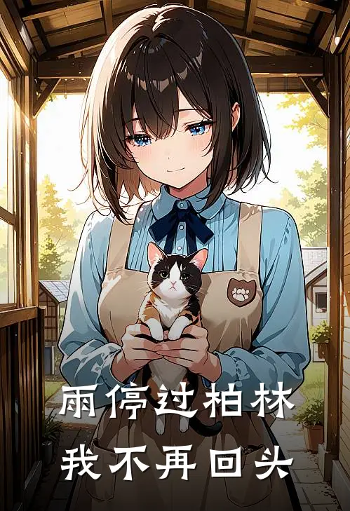 雨停过柏林,我不再回头