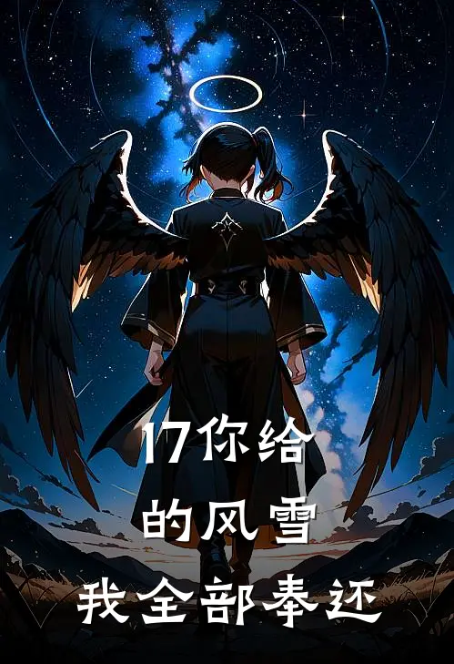 17你给的风雪,我全部奉还