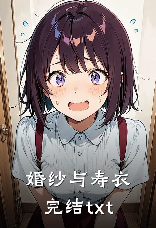 婚纱与寿衣完结txt
