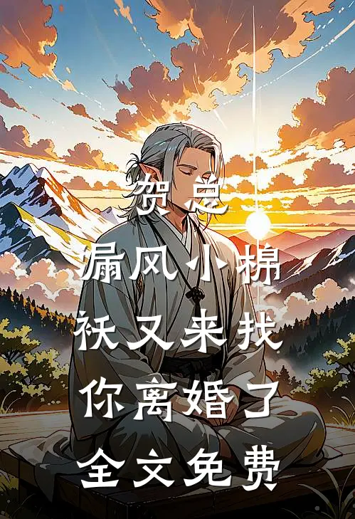 贺总，漏风小棉袄又来找你离婚了全文免费