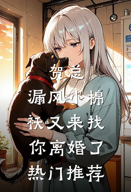 贺总，漏风小棉袄又来找你离婚了热门推荐