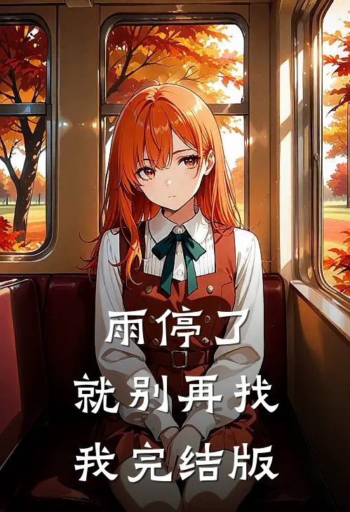 雨停了，就别再找我完结版