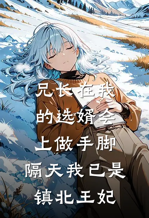 兄长在我的选婿会上做手脚，隔天我已是镇北王妃