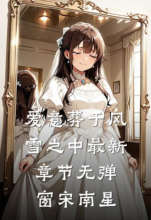 爱意葬于风雪之中最新章节无弹窗宋南星
