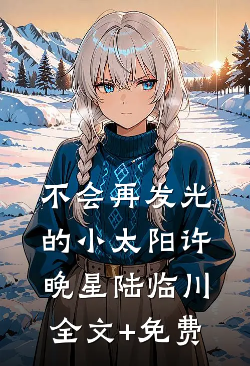 不会再发光的小太阳许晚星陆临川全文+免费