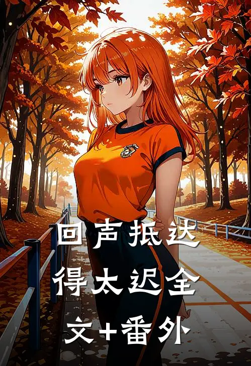 回声抵达得太迟全文+番外