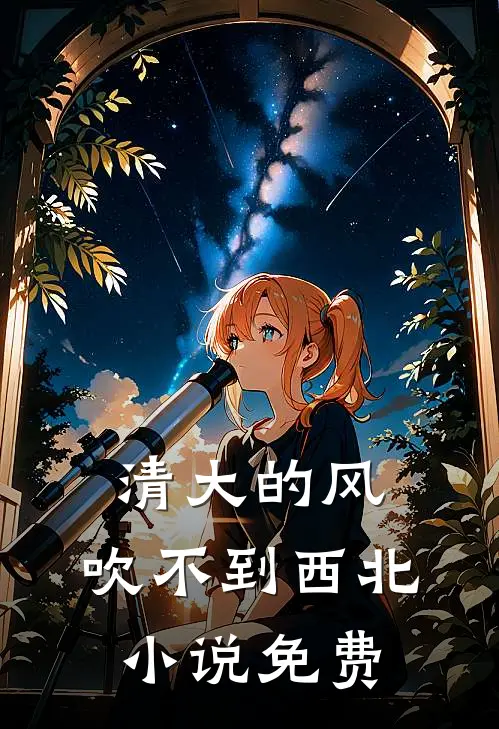 清大的风，吹不到西北小说免费