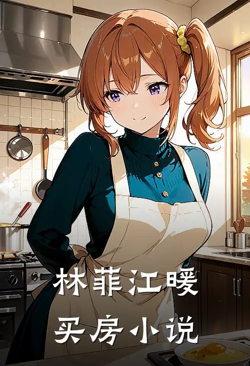 林菲江暖买房小说