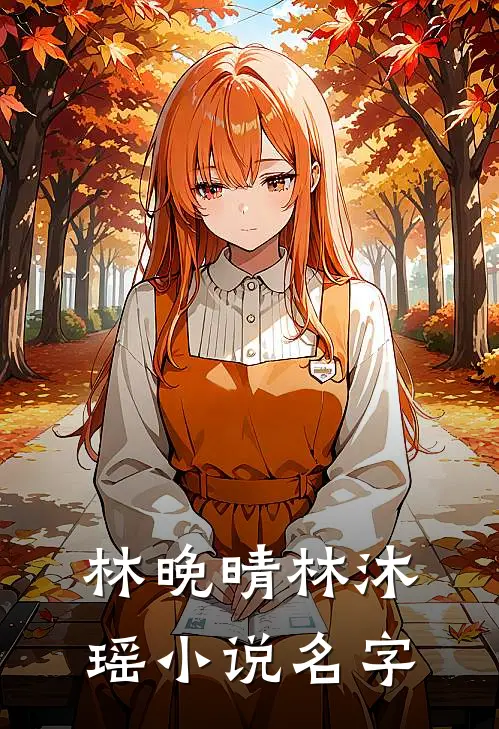 林晚晴林沐瑶小说名字