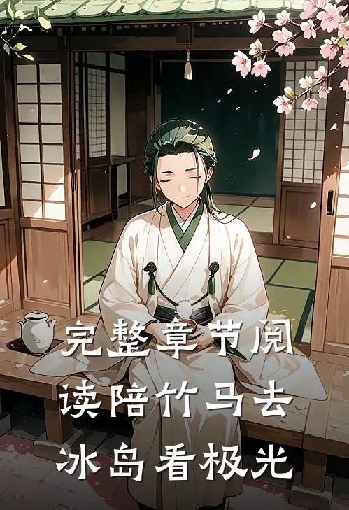 完整章节阅读陪竹马去冰岛看极光