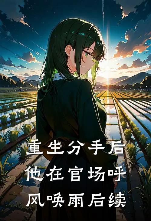 重生分手后，他在官场呼风唤雨后续