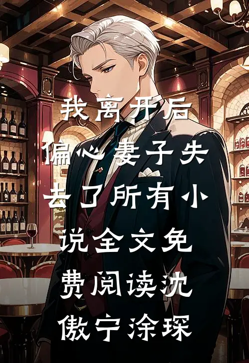 我离开后，偏心妻子失去了所有小说全文免费阅读沈傲宁涂琛