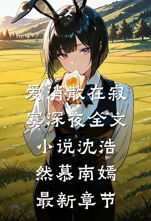 爱消散在寂寞深夜全文小说沈浩然慕南嫣最新章节