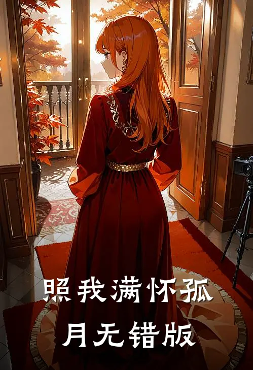 照我满怀孤月无错版