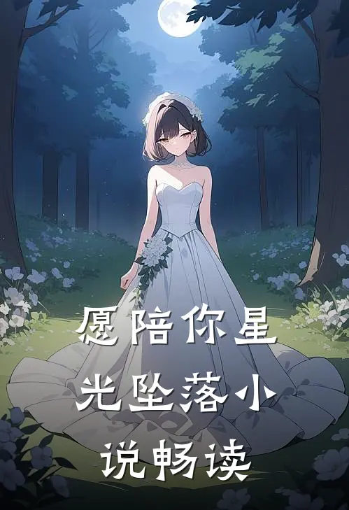 愿陪你星光坠落小说畅读