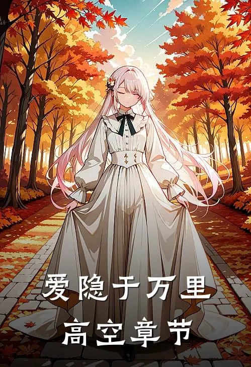 爱隐于万里高空章节