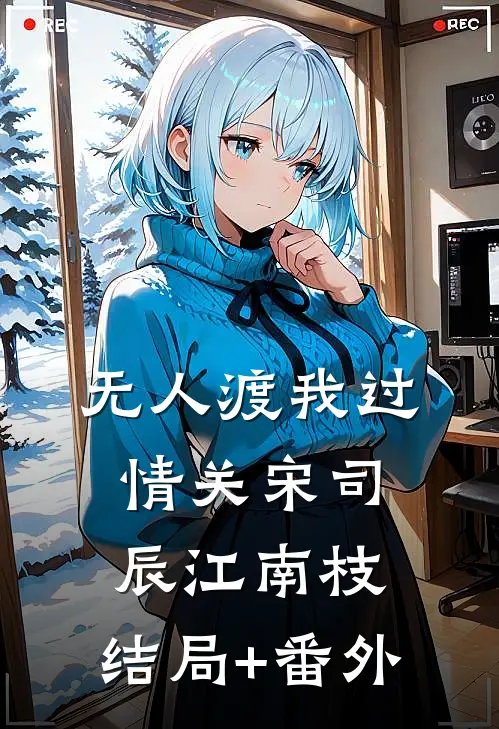 无人渡我过情关宋司辰江南枝:结局+番外