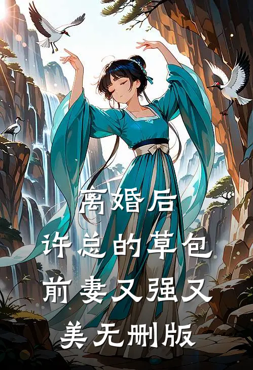 离婚后，许总的草包前妻又强又美无删版