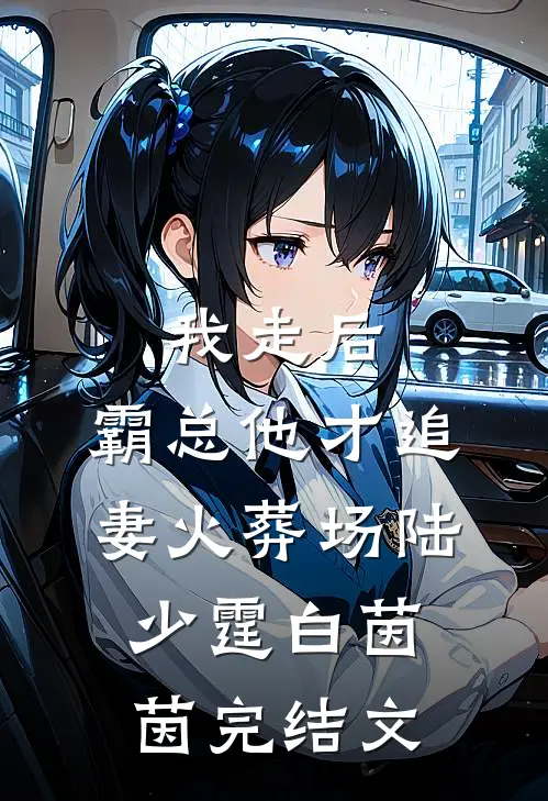 我走后，霸总他才追妻火葬场陆少霆白茵茵完结文