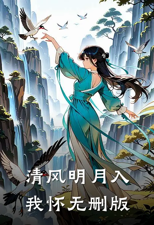 清风明月入我怀无删版
