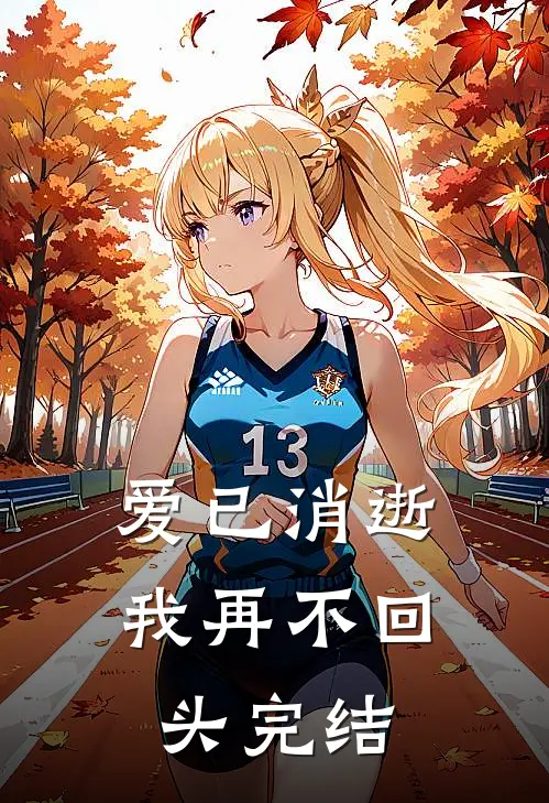 爱已消逝，我再不回头完结