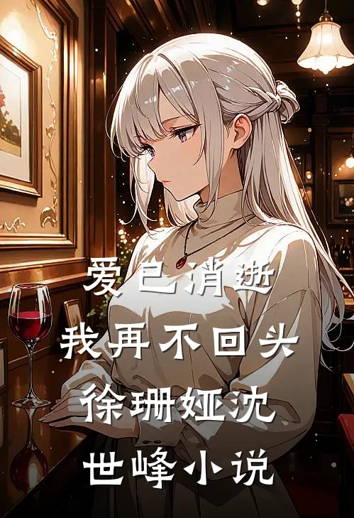 爱已消逝，我再不回头徐珊娅沈世峰小说