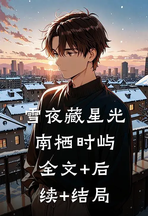 雪夜藏星光南栖时屿:全文+后续+结局
