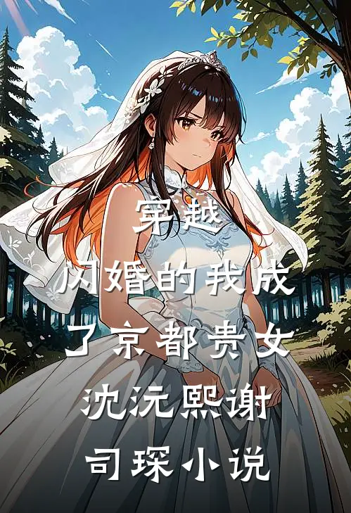 穿越：闪婚的我成了京都贵女沈沅熙谢司琛小说