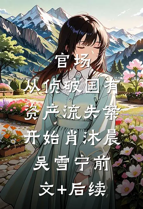 官场：从侦破国有资产流失案开始肖沐晨吴雪宁前文+后续