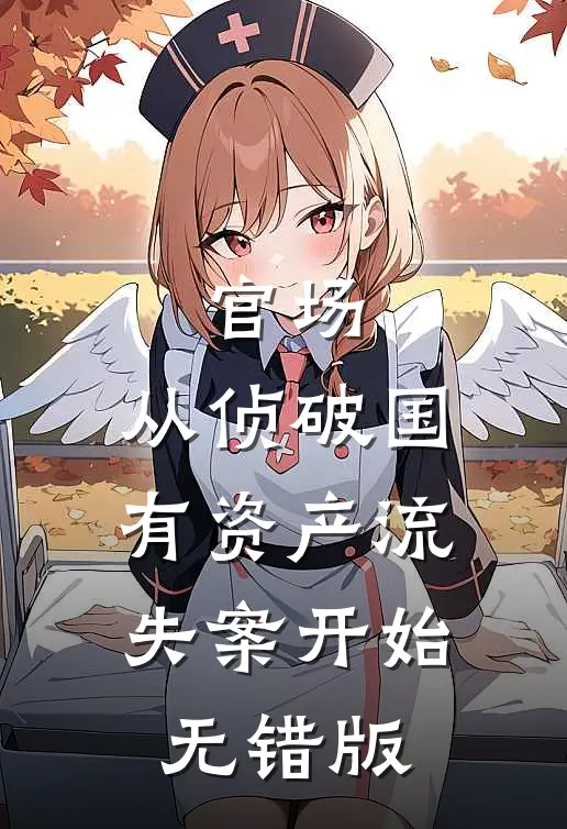官场：从侦破国有资产流失案开始无错版