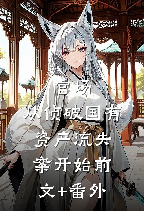 官场：从侦破国有资产流失案开始前文+番外
