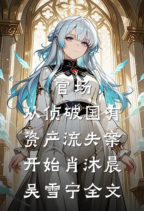 官场：从侦破国有资产流失案开始肖沐晨吴雪宁全文