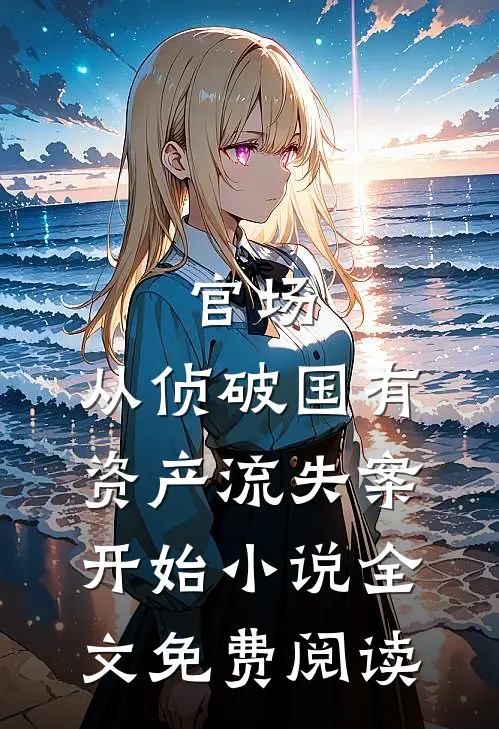 官场：从侦破国有资产流失案开始小说全文免费阅读