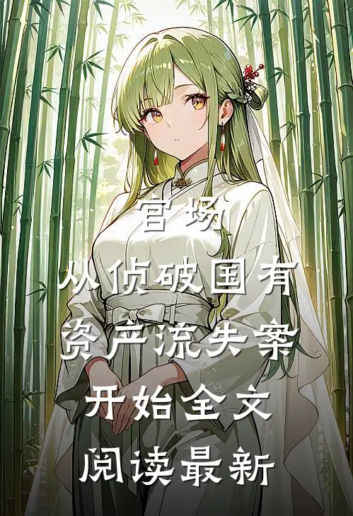 官场：从侦破国有资产流失案开始全文阅读最新