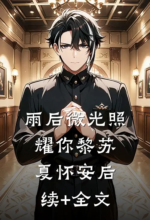 雨后微光照耀你黎苏夏怀安后续+全文