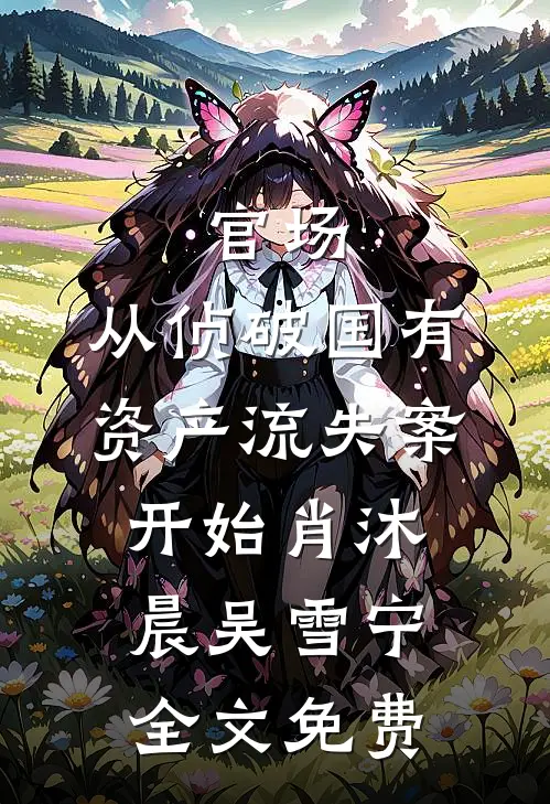 官场：从侦破国有资产流失案开始肖沐晨吴雪宁全文免费